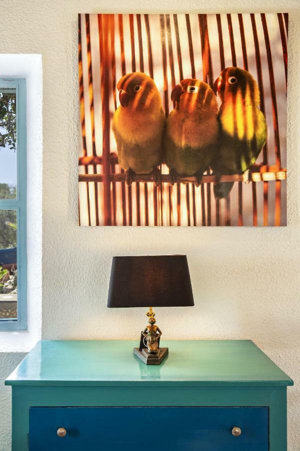 Riad Tamayourt Ocean View & Piscine Chauffee A 30 Essaouira Exterior foto
